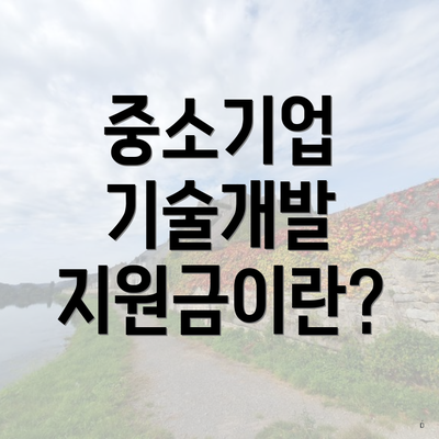 중소기업 기술개발 지원금이란?