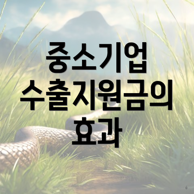 중소기업 수출지원금의 효과