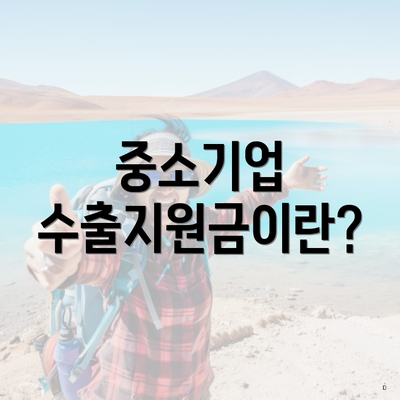 중소기업 수출지원금이란?