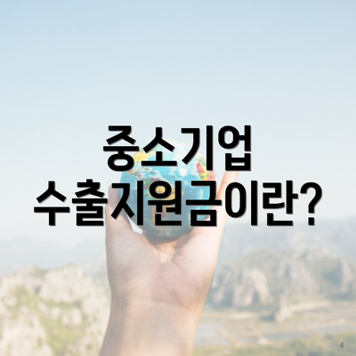 중소기업 수출지원금이란?