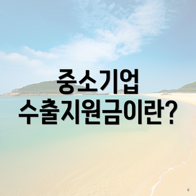 중소기업 수출지원금이란?