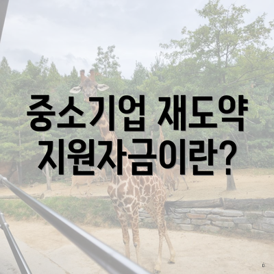 중소기업 재도약지원자금이란?