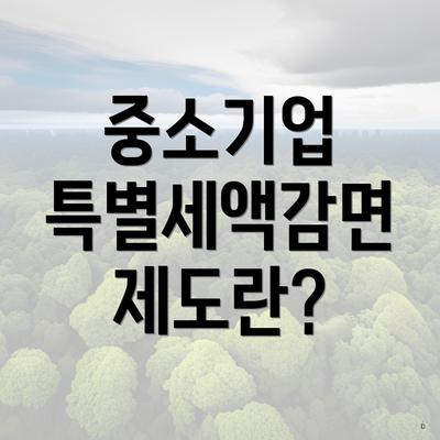 중소기업 특별세액감면 제도란?