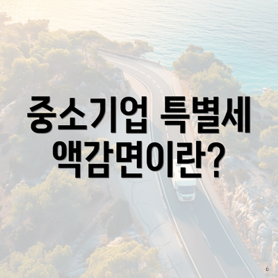 중소기업 특별세액감면이란?