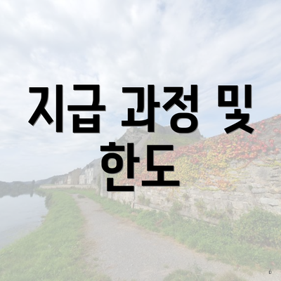 지급 과정 및 한도