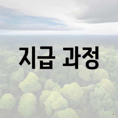 지급 과정
