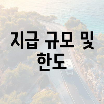 지급 규모 및 한도