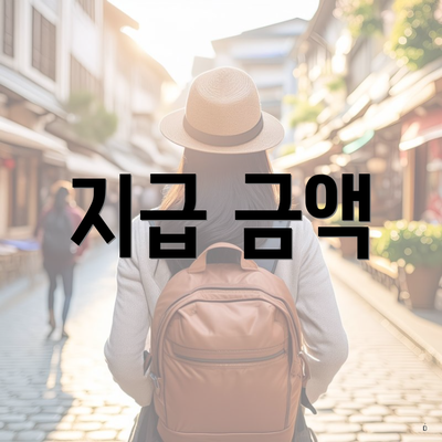 지급 금액