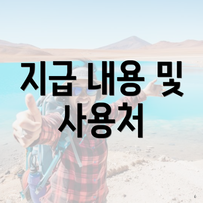 지급 내용 및 사용처