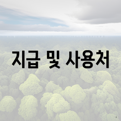 지급 및 사용처