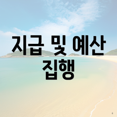 지급 및 예산 집행