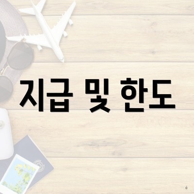 지급 및 한도