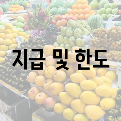 지급 및 한도