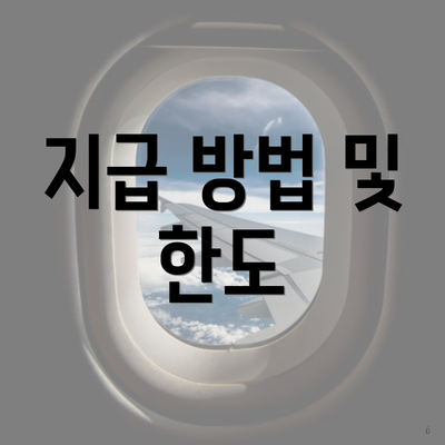 지급 방법 및 한도