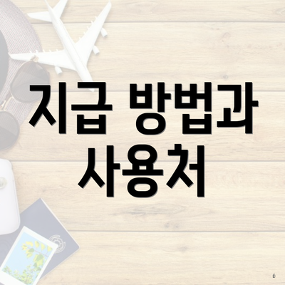 지급 방법과 사용처