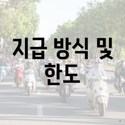 지급 방식 및 한도