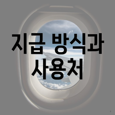 지급 방식과 사용처