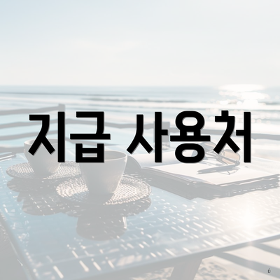 지급 사용처