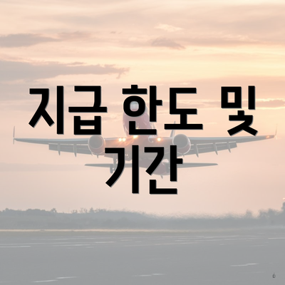 지급 한도 및 기간