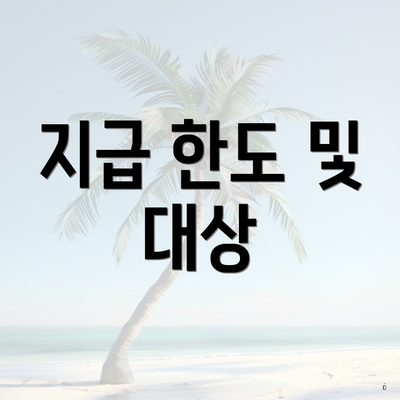 지급 한도 및 대상