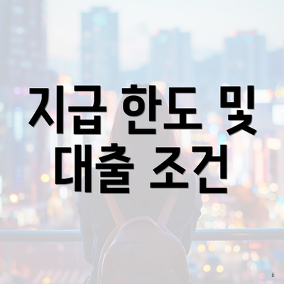 지급 한도 및 대출 조건