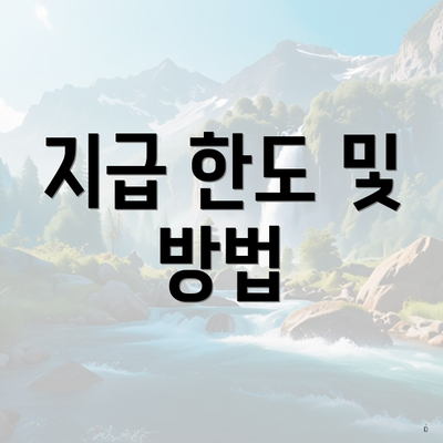 지급 한도 및 방법