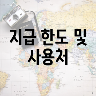 지급 한도 및 사용처