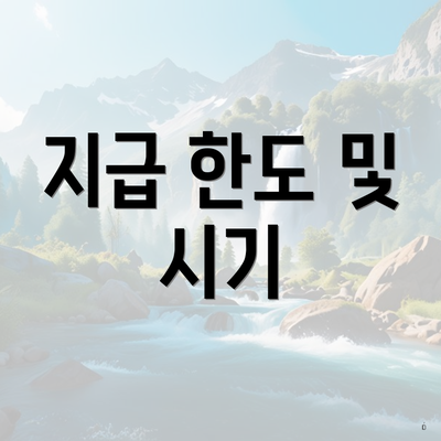 지급 한도 및 시기