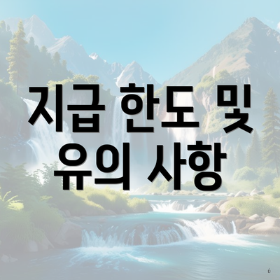 지급 한도 및 유의 사항