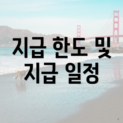 지급 한도 및 지급 일정