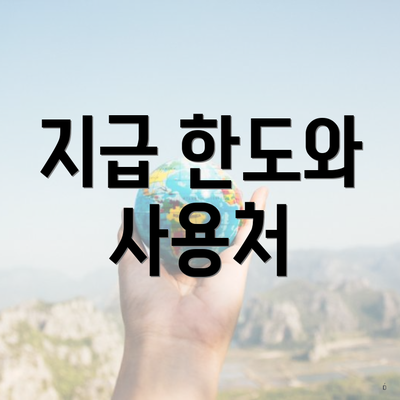 지급 한도와 사용처