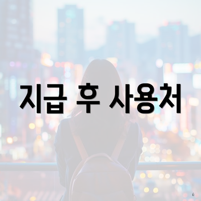 지급 후 사용처