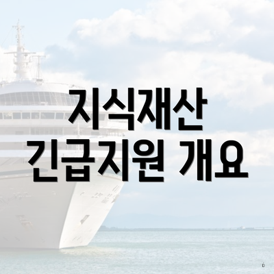 지식재산 긴급지원 개요
