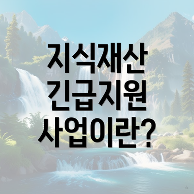 지식재산 긴급지원 사업이란?