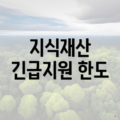 지식재산 긴급지원 한도
