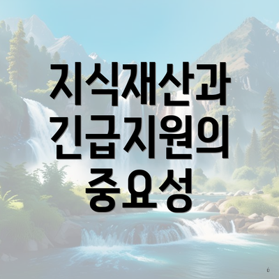 지식재산과 긴급지원의 중요성