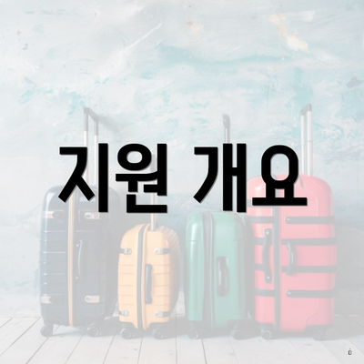 지원 개요