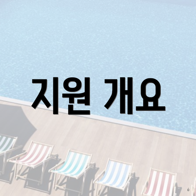 지원 개요