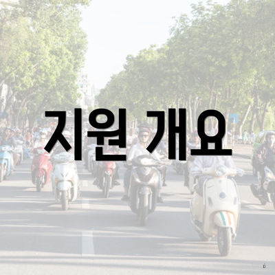지원 개요