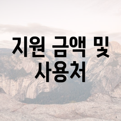 지원 금액 및 사용처