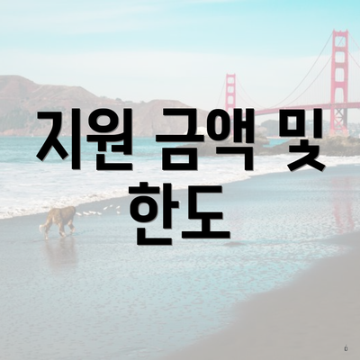 지원 금액 및 한도