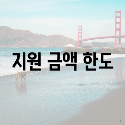 지원 금액 한도