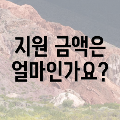 지원 금액은 얼마인가요?