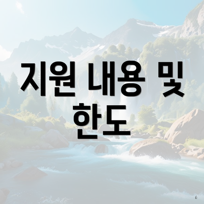 지원 내용 및 한도