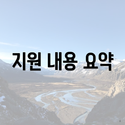지원 내용 요약