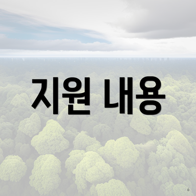 지원 내용