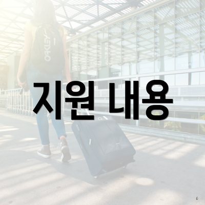 지원 내용