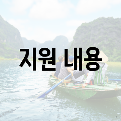 지원 내용