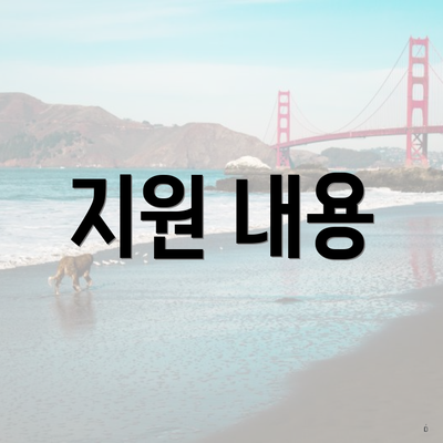 지원 내용