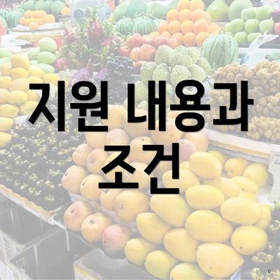 지원 내용과 조건